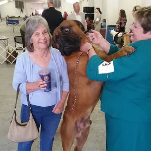 Meet your Posher, Rosalind